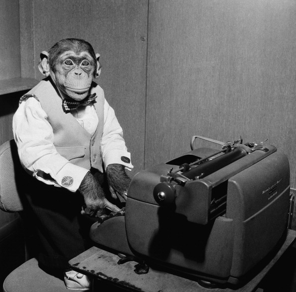chimp-typing.jpg